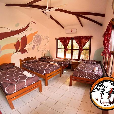 El Curichal Hostel Rurrenabaque Ngoại thất bức ảnh